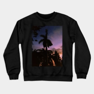 Pink Tropical Sunset Crewneck Sweatshirt